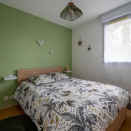 Apartmán L'Airbusien - Terrasse Et Parking - Airbus A Cote Colomiers Exteriér fotografie